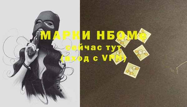 молекула духа Вязьма