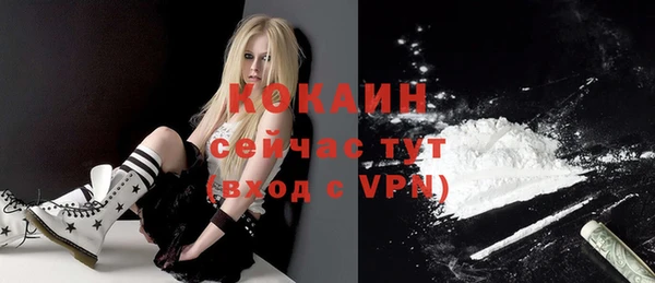 амф Вяземский