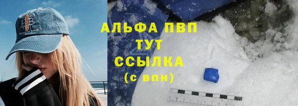 амф Вяземский
