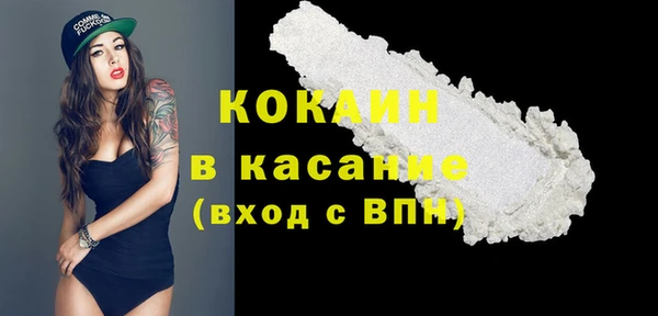 молекула духа Вязьма