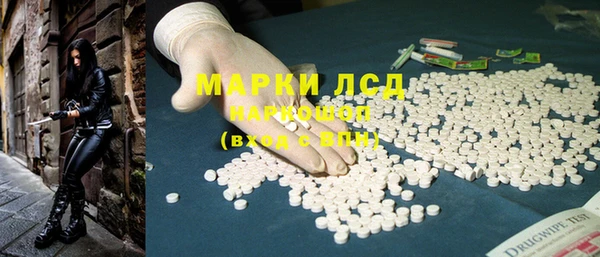амф Вяземский