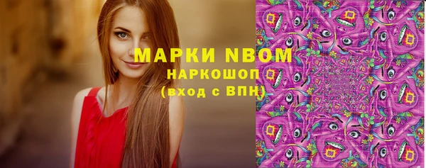 молекула духа Вязьма