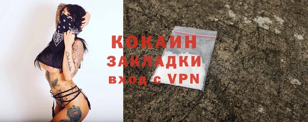 амф Вяземский