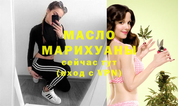 молекула духа Вязьма