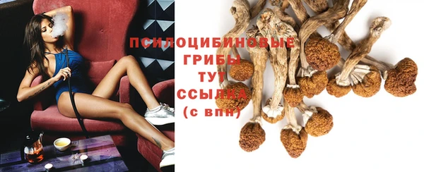молекула духа Вязники